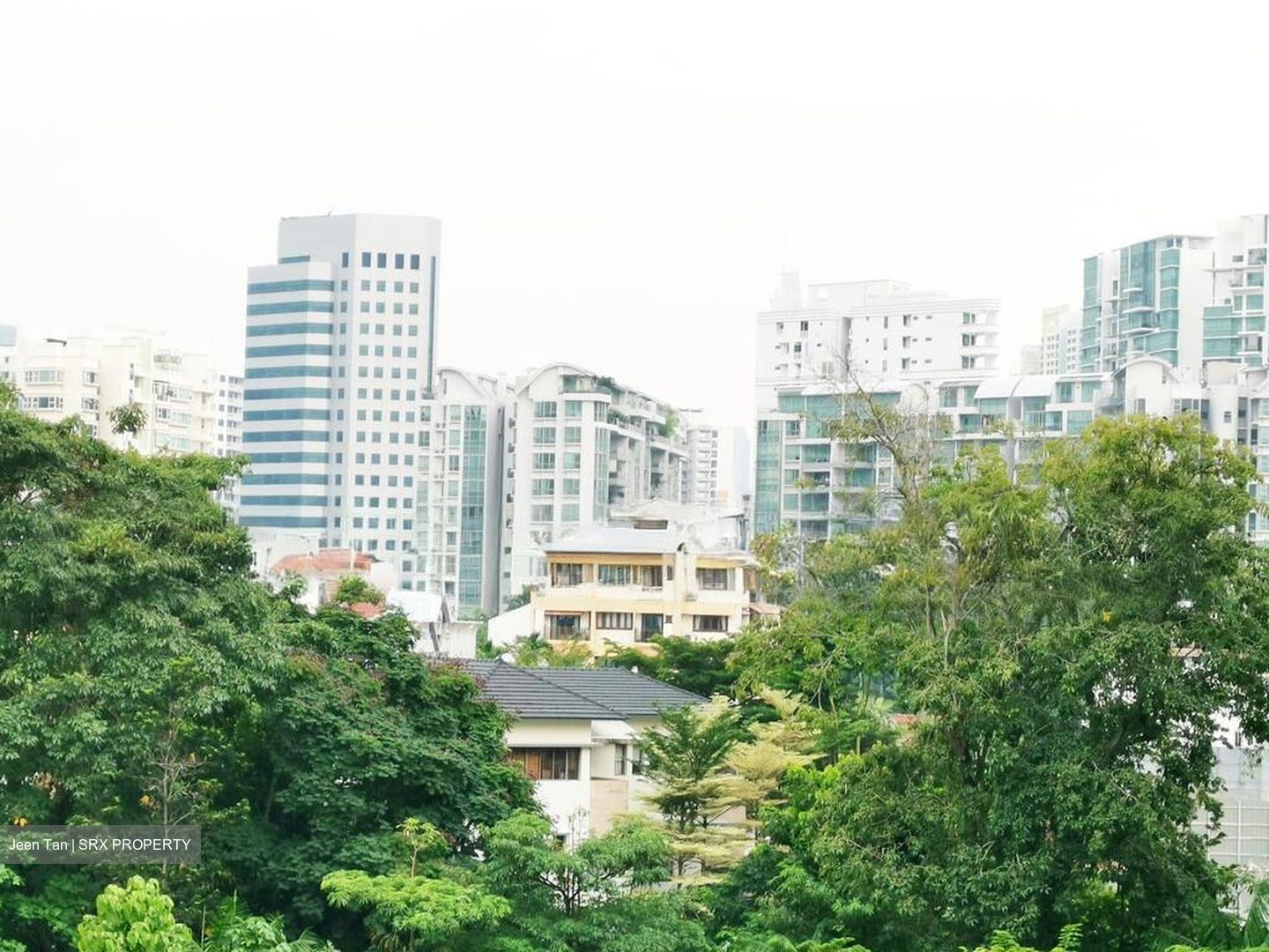 Mon Jervois (D10), Condominium #503155071